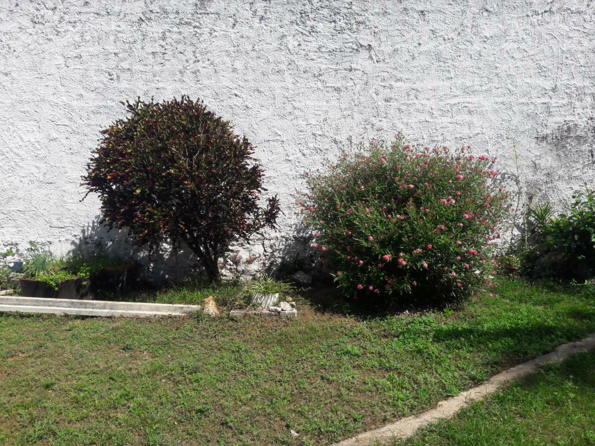 Hostal Y Temazcal Guemez Chichén-Itzá Zewnętrze zdjęcie